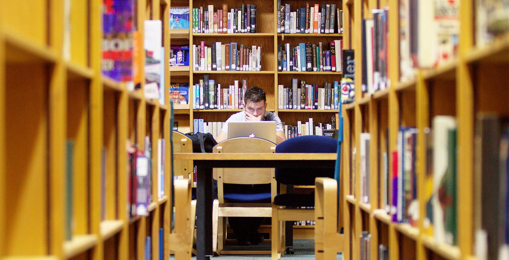 a student working in the library