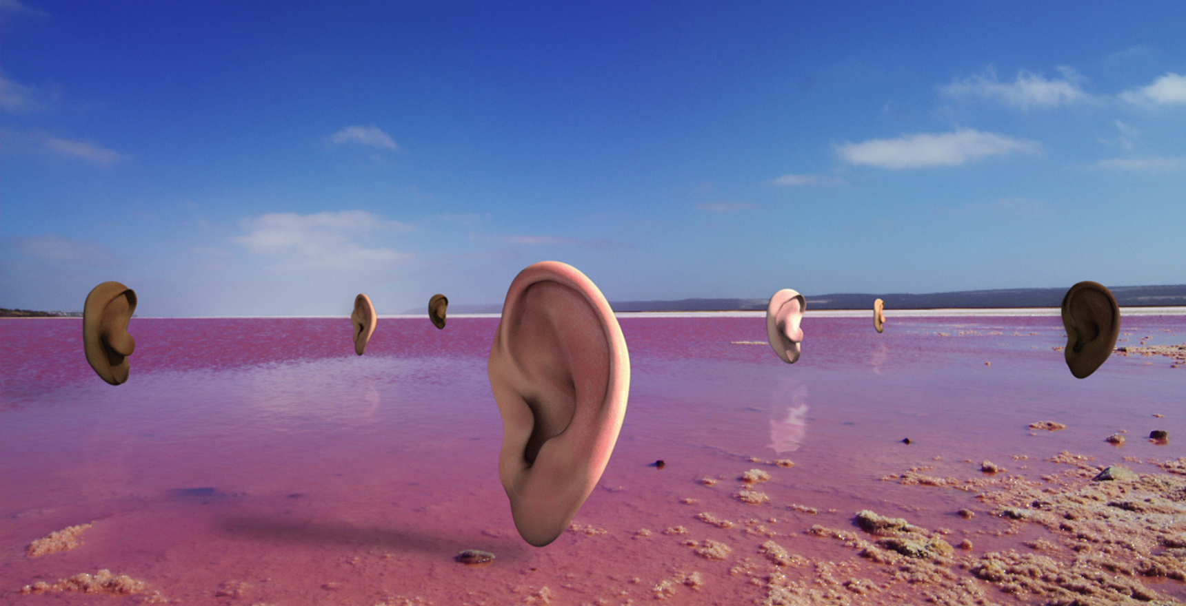 ears on the beach