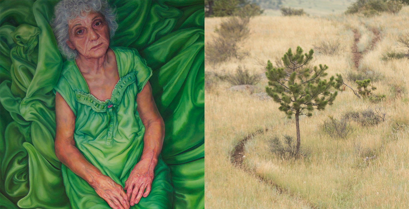 elderly woman in green on green sheet opposite lone pine tree in grassy field