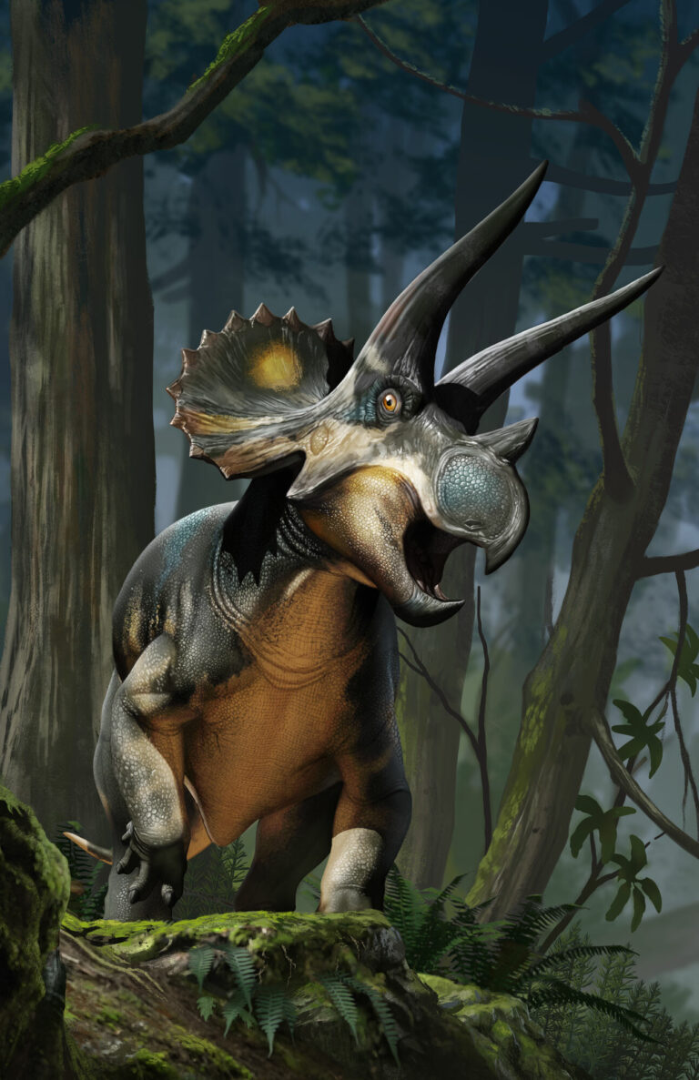 raul-ramos-beasts-of-the-mesozoic-triceratopssubadult-final