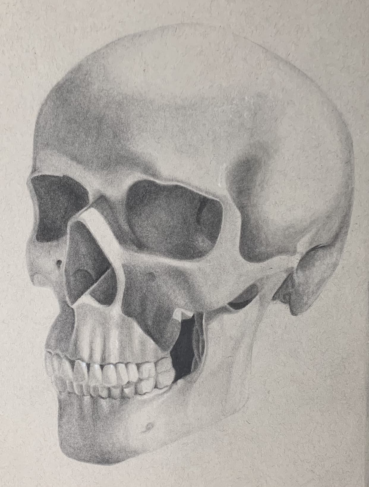 Alexandria Caldwell art titled Skull Series