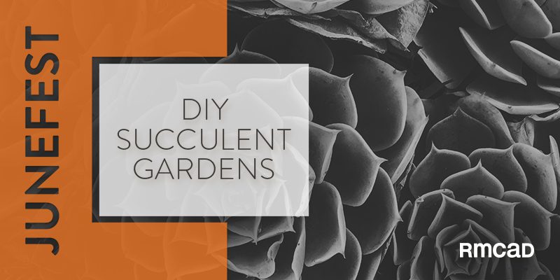 Junefest DIY Succulent Gardens