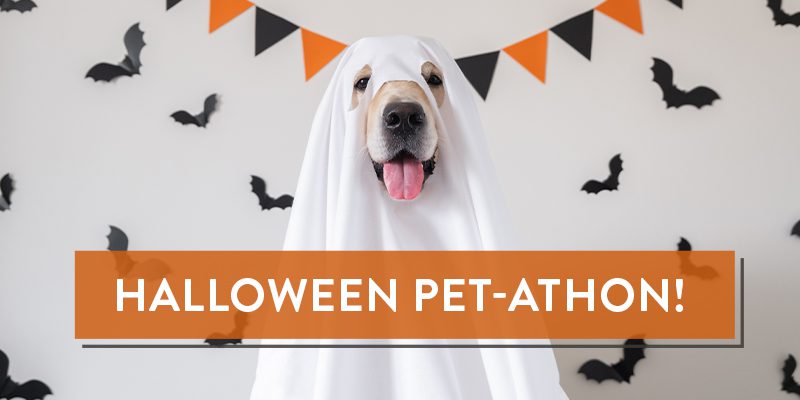 Halloween Pet-athon
