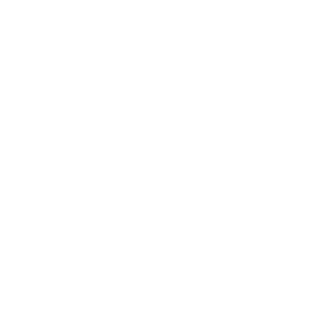 Unreal Academic Partner logo