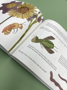 Children's book titled "The Little Beetle"