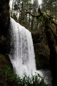 Photography of Waterfall by Josie Whitley.