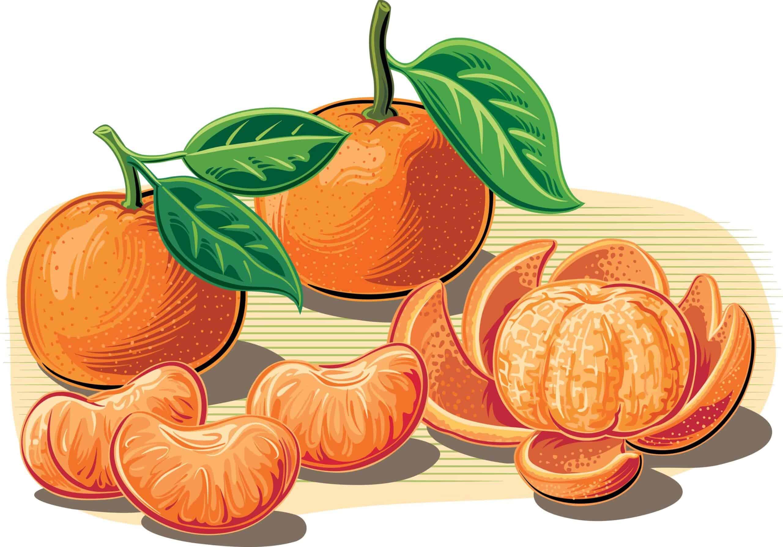 The Science of Texture in Illustration: Adding Depth and Realism