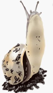 George-Otis Satterfield