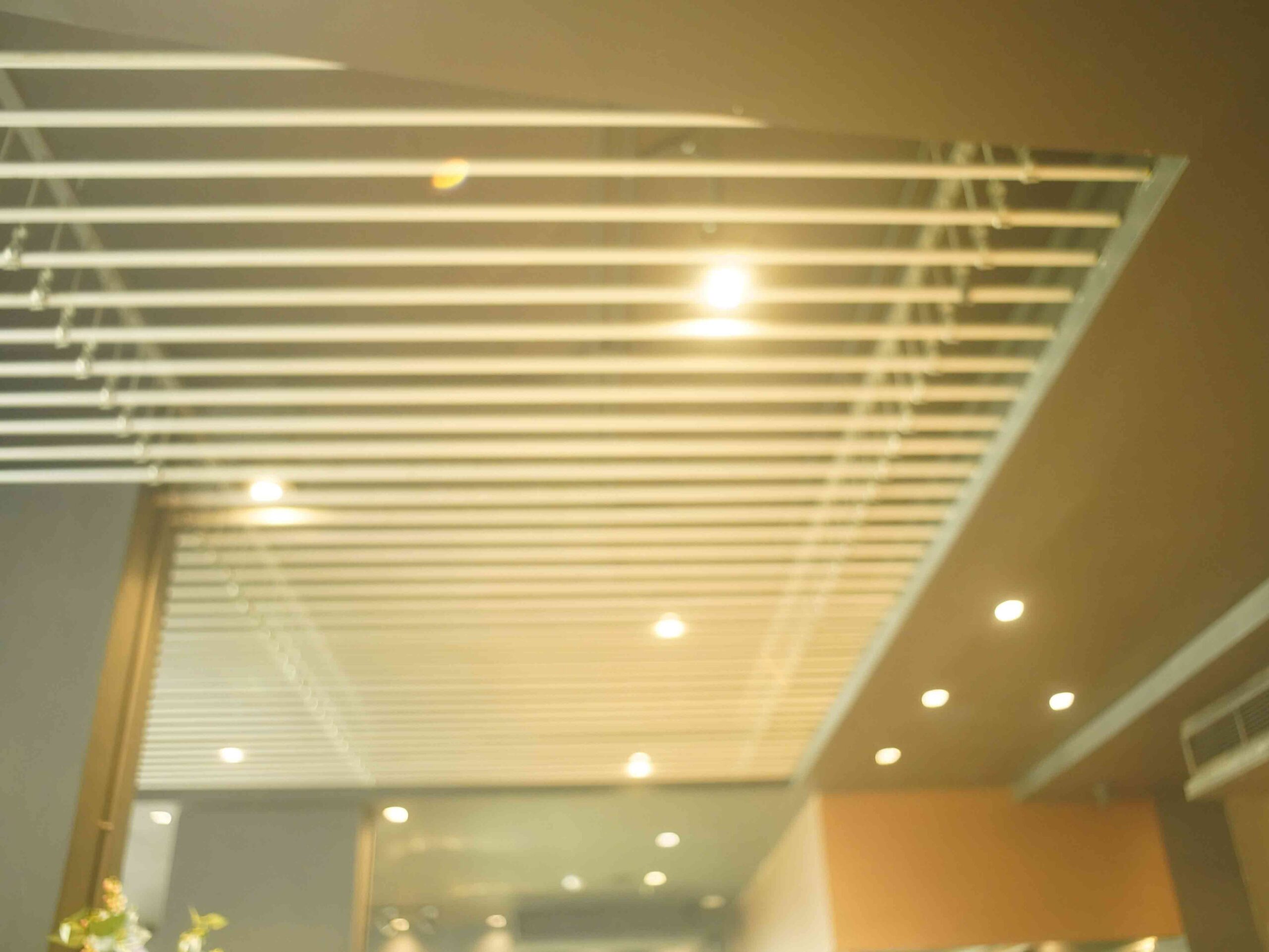 Reimagining Ceiling Design: The Fifth Wall in Interiors